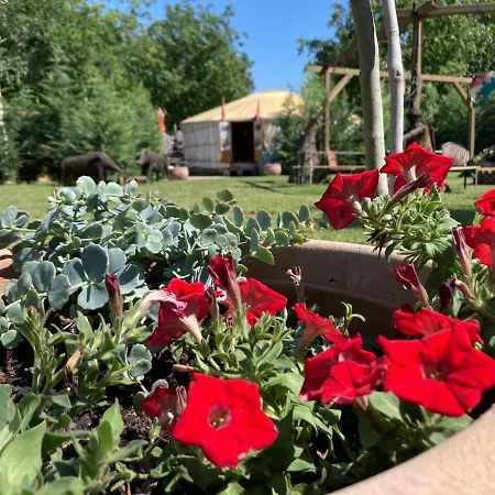 Magustanya Jurtaszallas *