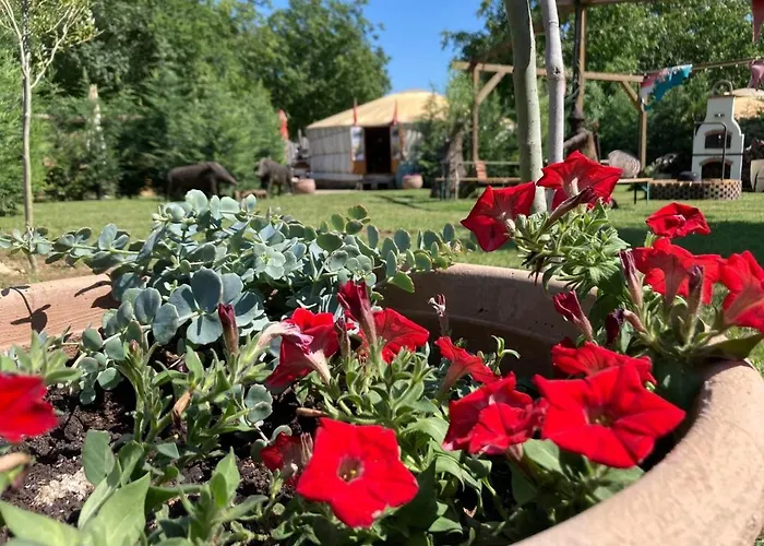 Magustanya Jurtaszallas *